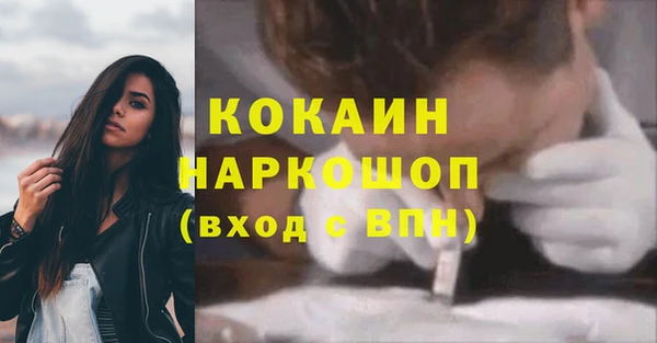 гашик Алзамай