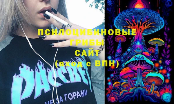 гашик Алзамай